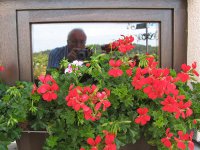 Blumen und Blüten