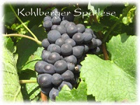 Kohlberger Spätlese